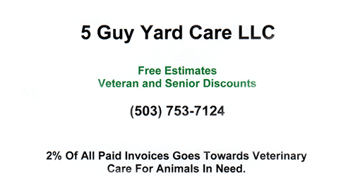 5 Guy Yard Care LLC 2